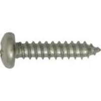 DIN 7981C Torx Pan AB Self Tapping Screw